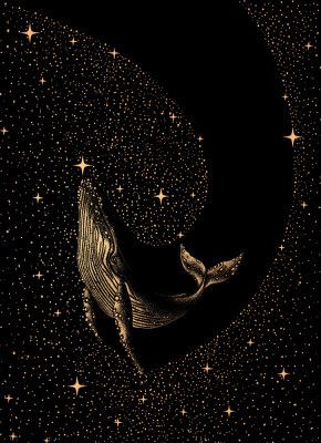 Starry Whale Dark Gold Version