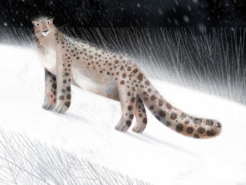 Snow Leopard