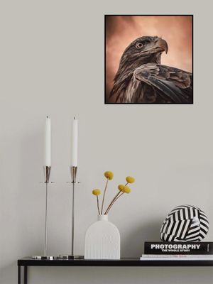 And his eyes saw everything....