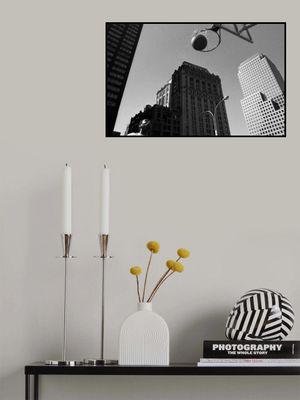 The ball (from the series "Alone")