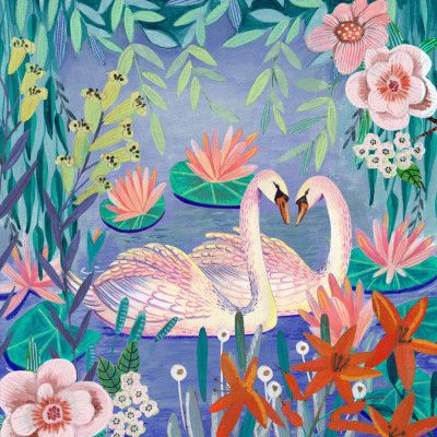 Swans swimming in the pound