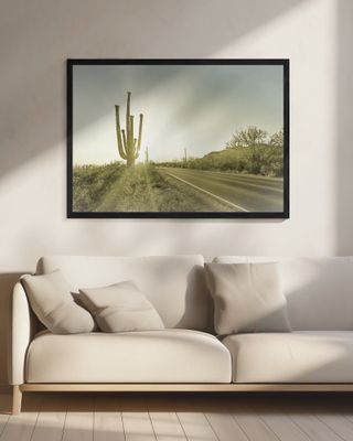 SAGUARO NATIONAL PARK Setting Sun | Vintage