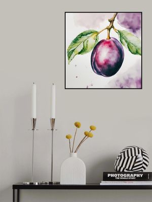 Pflaume, Aquarell, ink