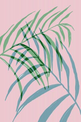 Green Palm Leaf