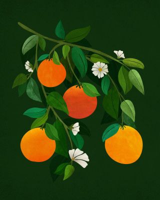 Oranges and Blossoms Night