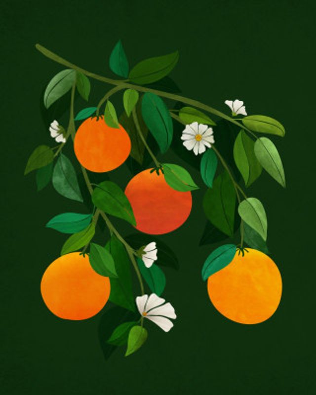 Oranges and Blossoms Night