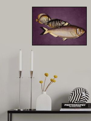 3 Fish - the Purple Edition
