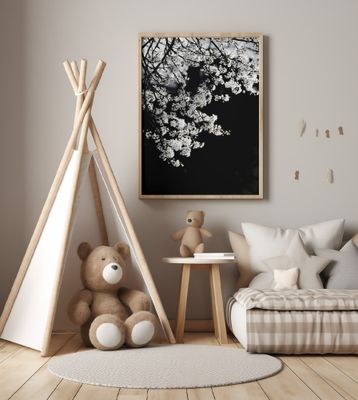White Spring Blossoms