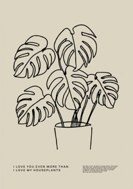 Monstera Love Line