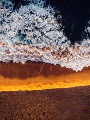 Ocean's Edge Serenity