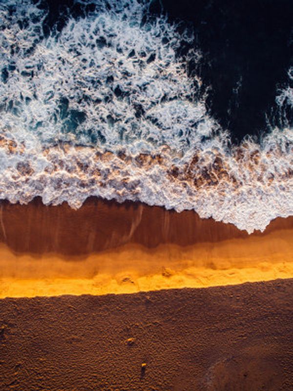 Ocean's Edge Serenity