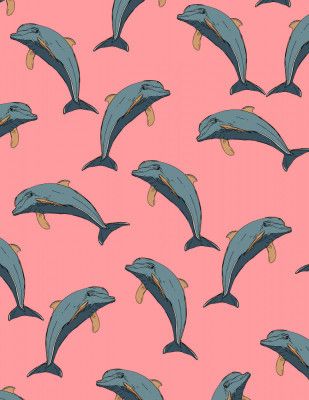 Dolphin Pattern