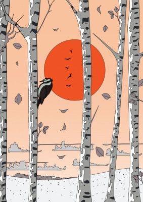 Silent Sunset Flight