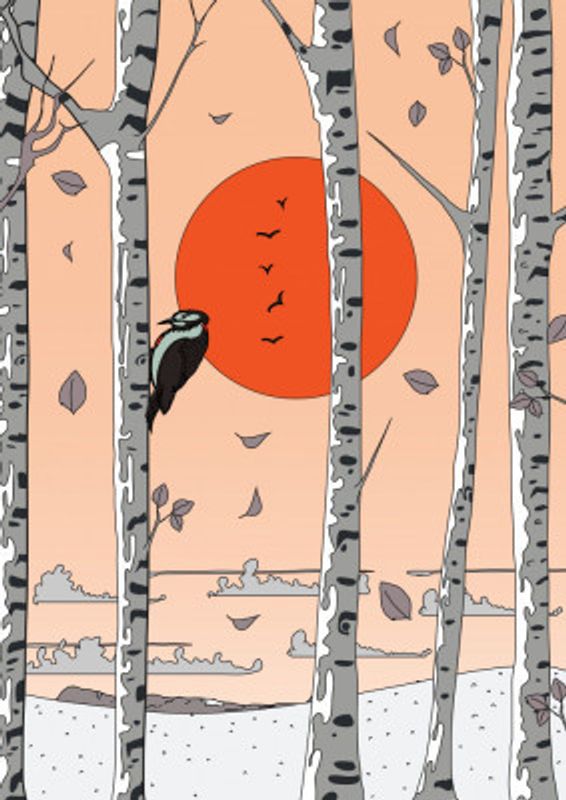 Silent Sunset Flight