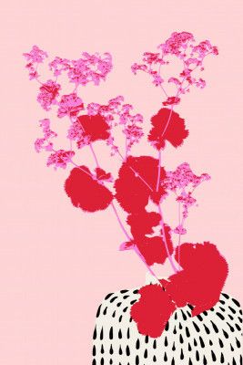 Plant based happyness lady's-mantle still life