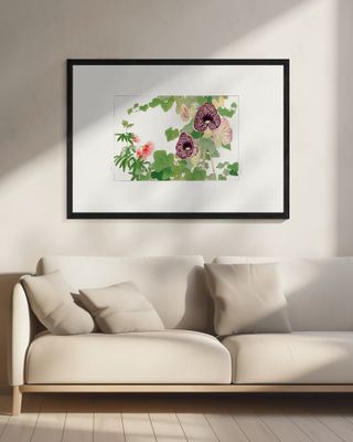 Albizia & Aristolochia Flower