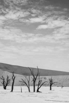 Black And White Desert Landscape