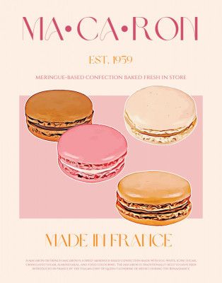 French Macaron Delight