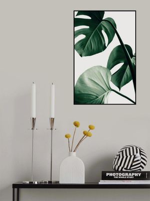 Monstera Natural 42