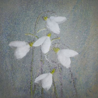 Snowdrops