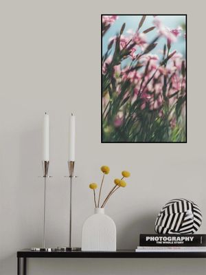 Dreamy Scene of Pink Flowers