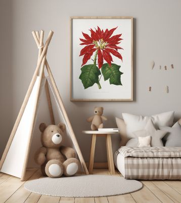 Poinsettia Pulcherrima Leaf Illustration