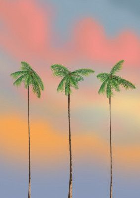 Palms