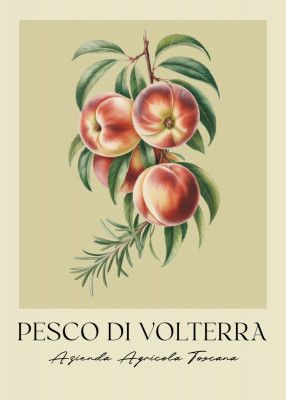 Pesco Di Volterra