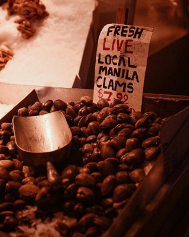 Fresh Live Local Manila Clams