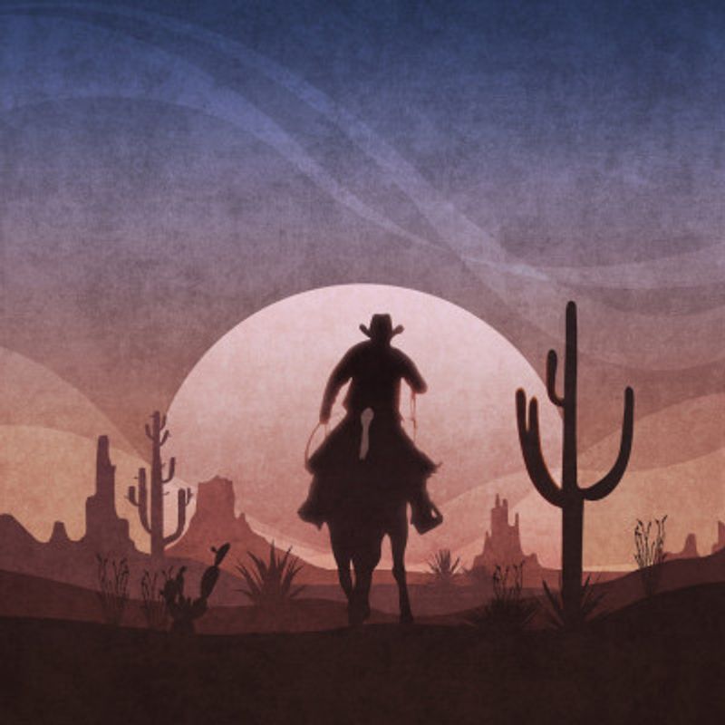 Desert Cowboy Sunset