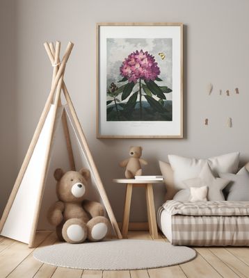 The Pontic Rhododendron from The Temple of Flora (1807)