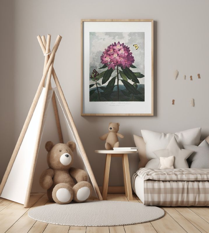 The Pontic Rhododendron from The Temple of Flora (1807)