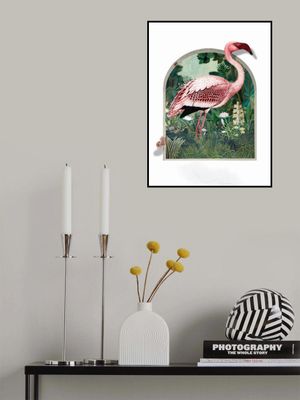 The Tropical Magic Garden