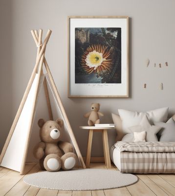 The Night–Blowing Cereus from The Temple of Flora (1807)