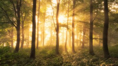 It's nice to love.......