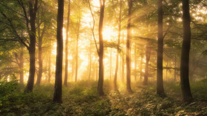 It's nice to love.......