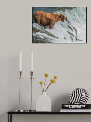 Perfect fishing spot