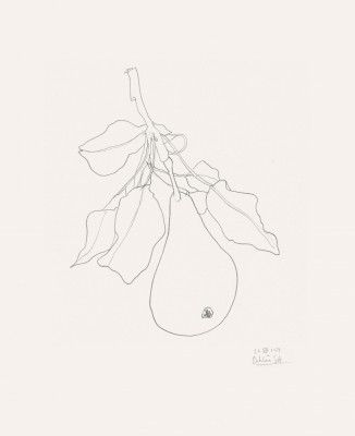 Elegant Pear Sketch