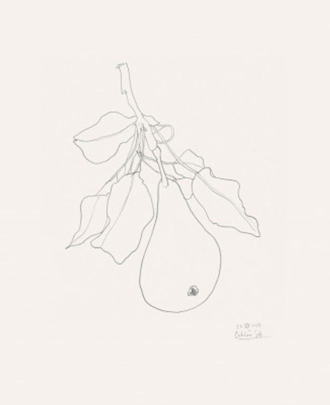 Elegant Pear Sketch