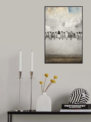 All the Pretty Birds