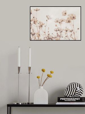 Cosmea Summer Garden Beige Toffee