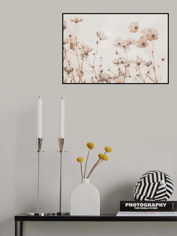 Cosmea Summer Garden Beige Toffee