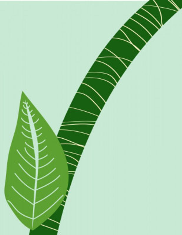 Leaf Checkmark