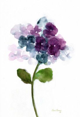 Floral With Hydranga I