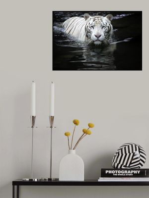 Looking at Me Looking at You