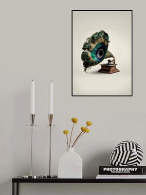 Peacock Gramaphone