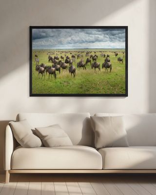 Great Migration in Serengeti Plains