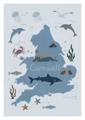 Cornwall Map with Marine Life