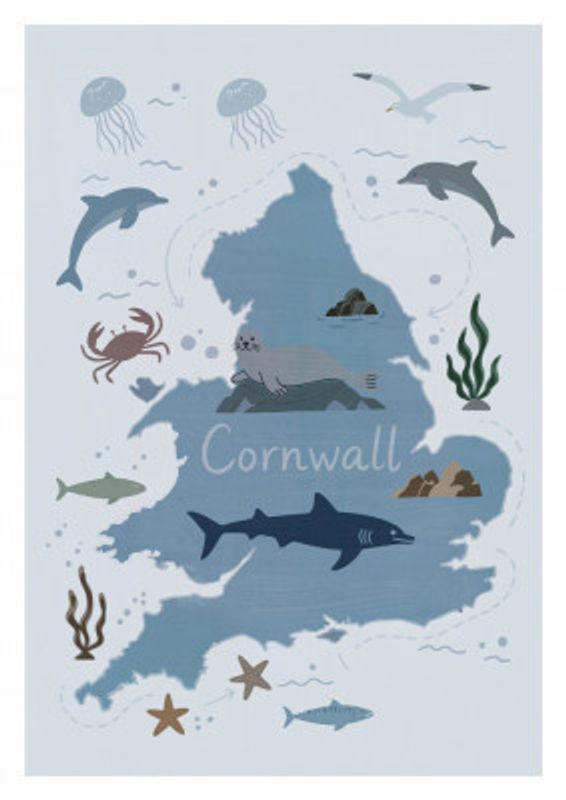 Cornwall Map with Marine Life