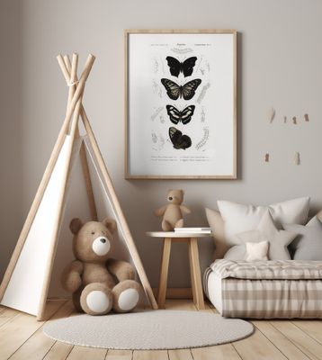 Collection of Butterflies 01